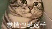 清凉一下 淋雨。